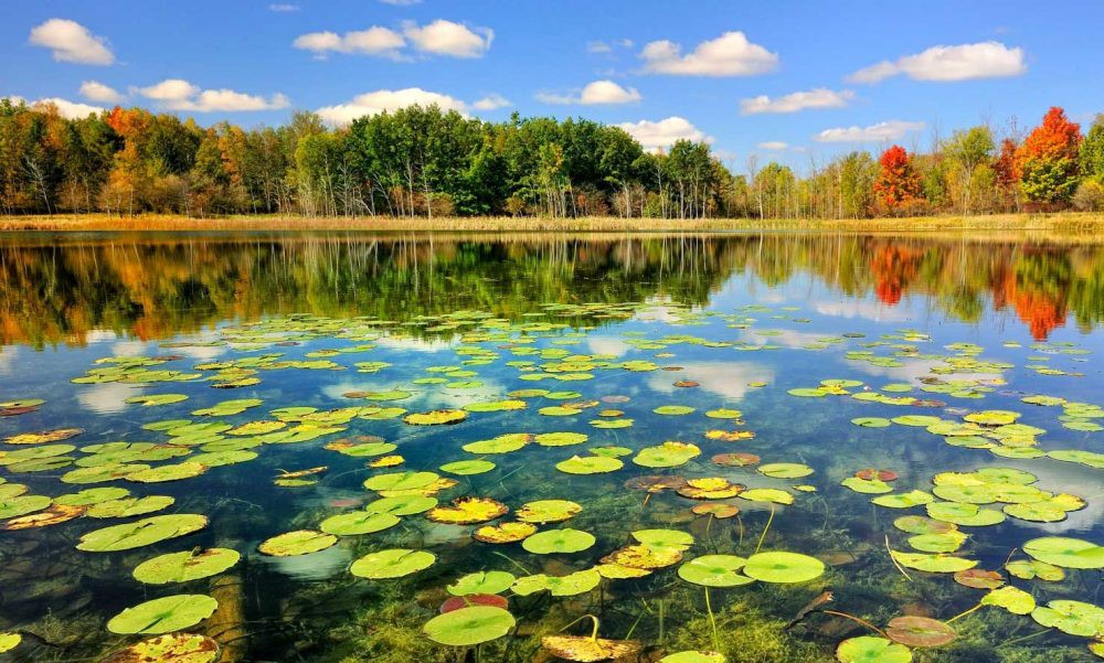 مسافران شمال برای اقامت در سفر چه گزینههایی دارند؟
