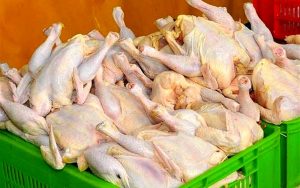 بازار-مرغ-در-ثبات-نسبی