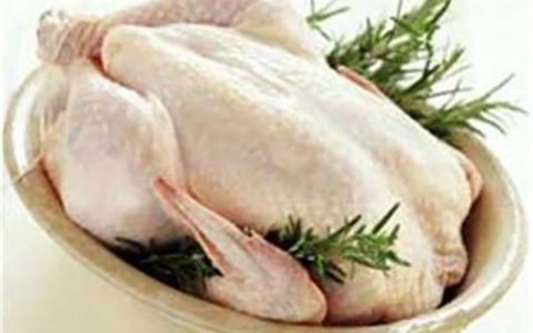 برای سلامت خانواده، مرغ کمتر از 1.8 کیلوگرم مصرف کنید 1 برای سلامت خانواده، مرغ کمتر از 1.8 کیلوگرم مصرف کنید برای سلامت خانواده، مرغ کمتر از 1.8 کیلوگرم مصرف کنید مرغ
