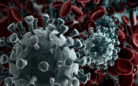 تست سريع کرونا در کمتر از نيم ساعت با نمونه بزاق / فیلم