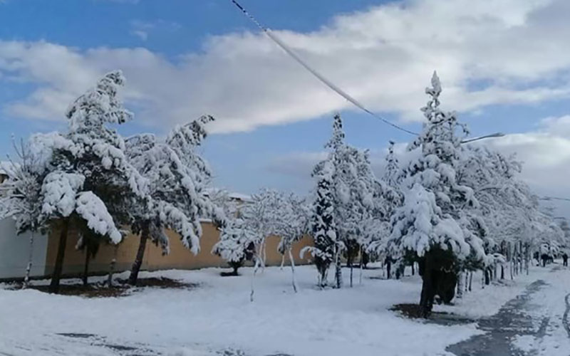 برف و باران تا بعدازظهر فردا در کشور/باد شدید و کولاک و هشدار بهمن
