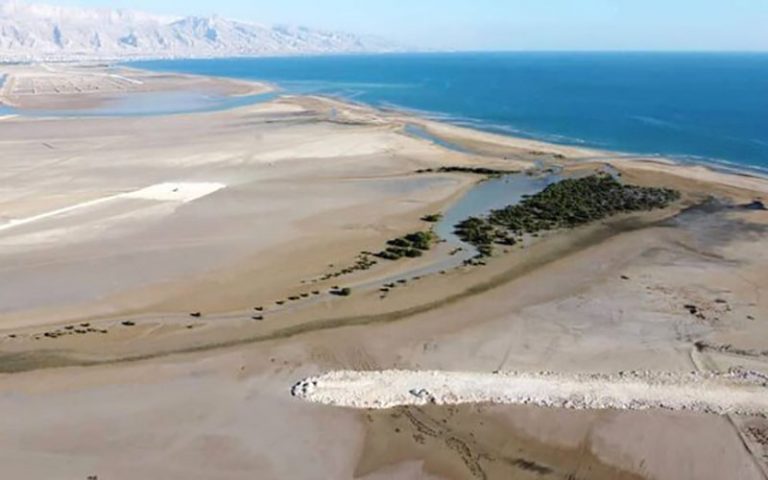 جنگل-حرّا-حراج-شد
