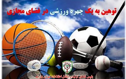 شناسایی عاملان توهین به یک چهره ورزشی در فضای مجازی توسط پلیس فتا