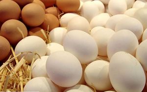 قیمت-مرغ-و-تخم‌مرغ-در-میادین-میوه-و-تره‌بار