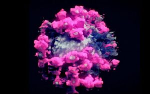 نخستین-عکس-سه‌بعدی-واقعی-از-ویروس-کرونا