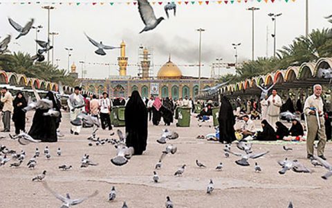 اعزام به عراق شایعه است