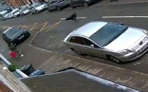حمله دلخراش سگ ولگرد به مادر و ۲ کودک خردسال انگلیسی/ فیلم