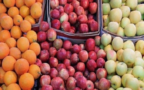 توزیع سیب و پرتقال نوروزی در تهران آغاز شد توزیع سیب و پرتقال نوروزی در تهران آغاز شد