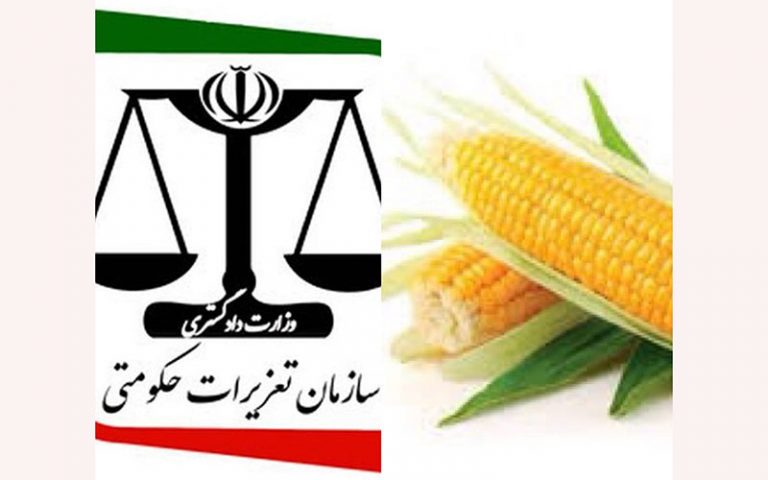 توپ-در-زمین-شماست-جناب-تعزیرات،-دیگران-را-محکوم-نکنید