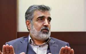 شروط-و-تذکرات-ایران-قبل-از-سفر-مدیرکل-آژانس-بین‌المللی-انرژی-اتمی-به-تهران