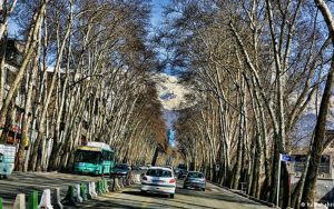 شهردار-تهران-خیابان-ولیعصر-بزودی-ثبت-جهانی-می-شود