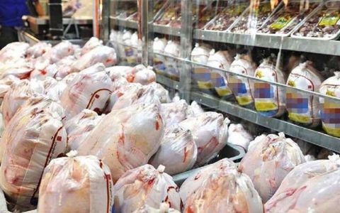 قطعه بندی مرغ برای جلوگیری از گران فروشی ممنوع شد 1 بندی مرغ برای جلوگیری از گران فروشی ممنوع شد قطعه بندی مرغ برای جلوگیری از گران فروشی ممنوع شد