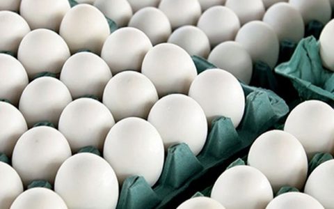قیمت تخم مرغ در میادین میوه و تره بار اعلام شد