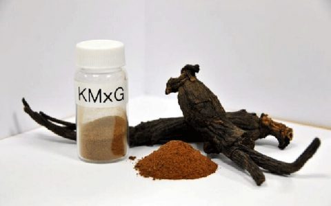 پیشگیری از گسترش سرطان ریه با جینسینگ قرمز پیشگیری از گسترش سرطان ریه با جینسینگ قرمز