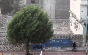 رگبار، رعد و برق و وزش باد شدید در استان تهران