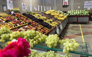 ۱۰ میوه گران میادین میوه و تره بار تهران