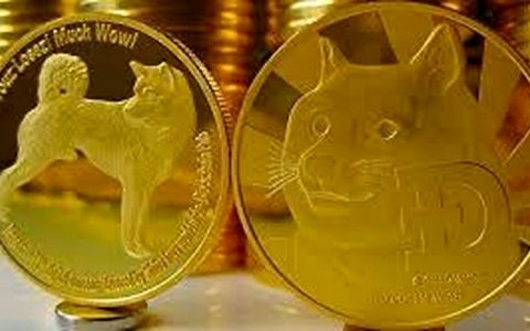 سقوط ۲۵ درصدی داج کوین
