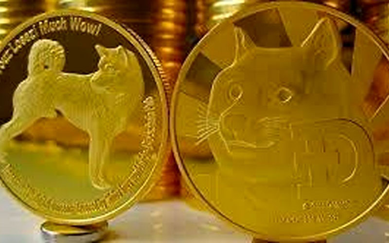 سقوط ۲۵ درصدی داج کوین سقوط ۲۵ درصدی داج کوین