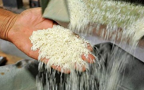 فراموشی کمبود برنج