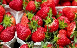 میوه‌ای که باعث کاهش ابتلا به سرطان می‌شود