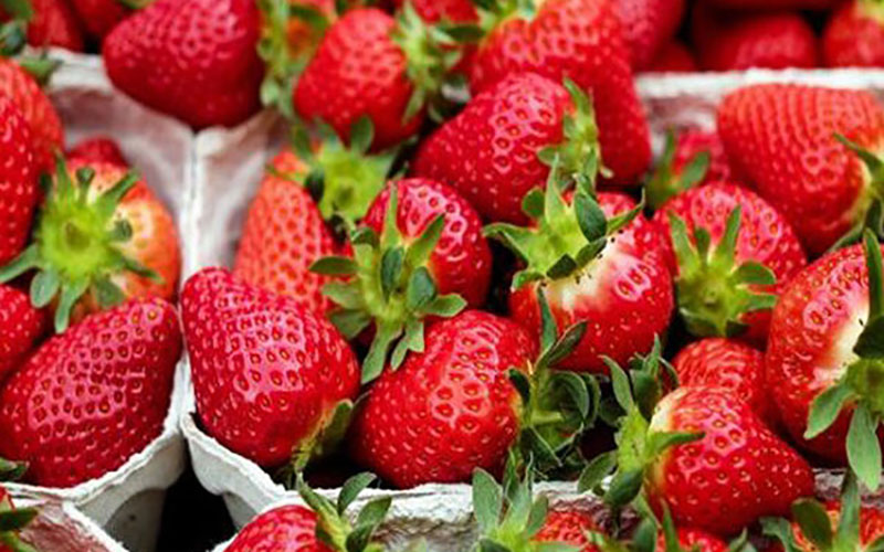 میوه‌ای که باعث کاهش ابتلا به سرطان می‌شود