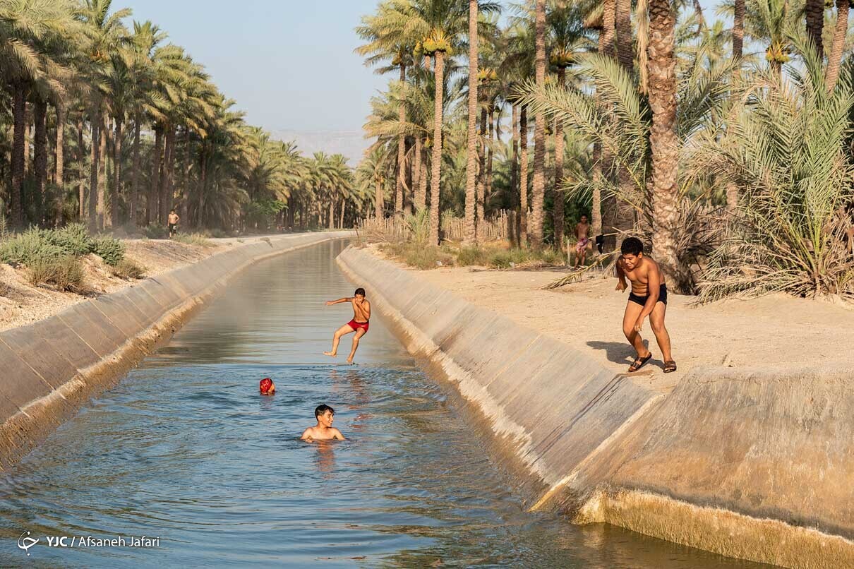 فرار از گرمای تابستان بوشهر