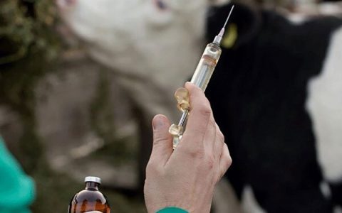 تولید ماده اصلی واکسن دام و طیور/ انحصار فرانسه شکسته شد 1 تولید ماده اصلی واکسن دام و طیور