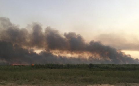 دومین آتش سوزی هورالعظیم خاموش شد