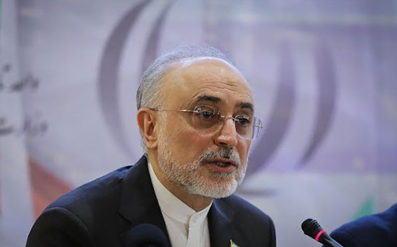 رئیس سازمان انرژی اتمی: مسائل مالی دلیل عمده عدم دستیابی به اهداف تولید برق هسته‌ای بوده است