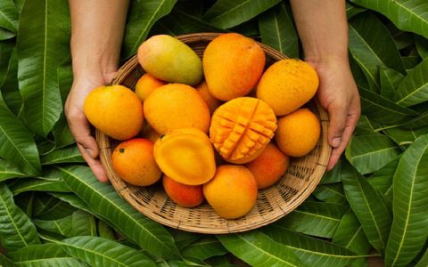 مواد غذایی که نباید پس از انبه مصرف کنید