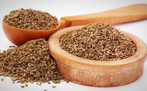 گیاه زنیان، موثر در کاهش وزن و چربی خون