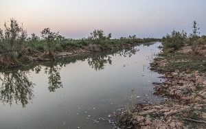 بازگشت-آب-به-منطقه-میسان—خوزستان
