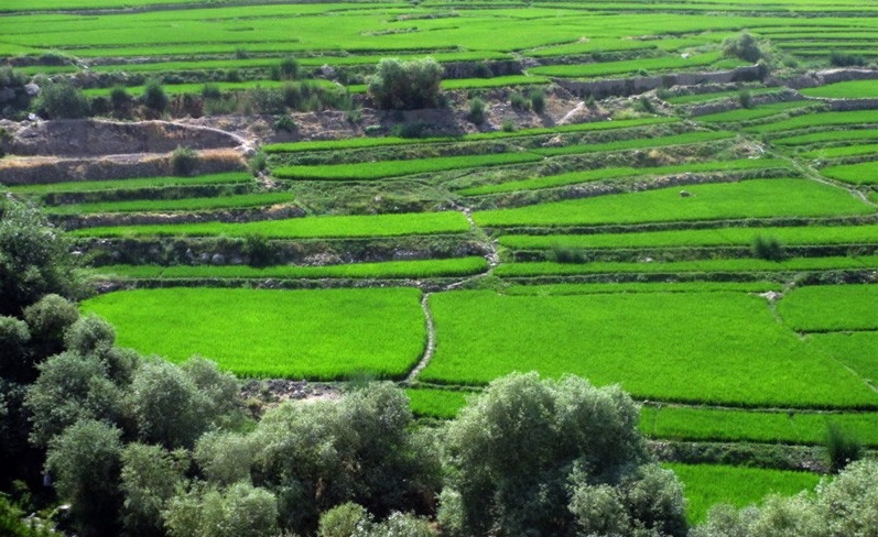 خوزستان چه بود؟ خوزستان چه شد؟ مروری بر اطلاعات دو مقاله علمی دهه 40 در مورد خوزستان