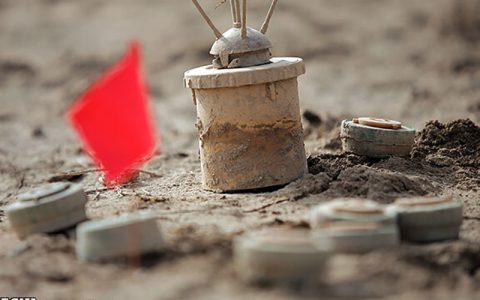توضیحی درباره مشاهده مین در تالاب هورالعظیم