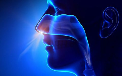 تولید واکسن مننژیت در قالب قطره بینی