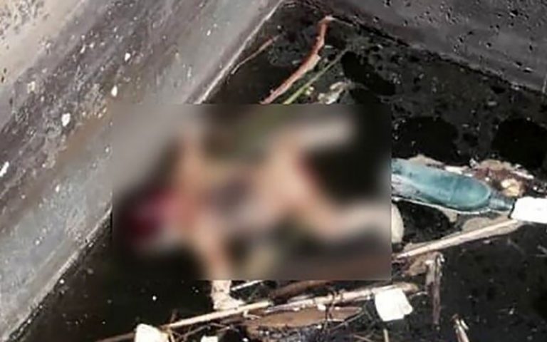 جسد نوزاد تازه به دنیا آمده در پارس‌آباد کشف شد