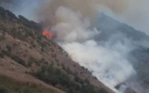 جنگل‌های گالیکش گلستان دچار آتش سوزی شد