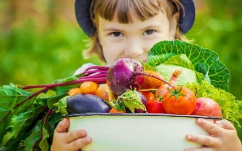 راهکارهایی برای حل بدغذایی کودکان