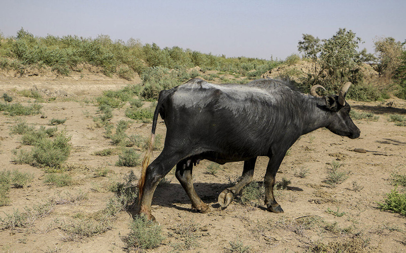 روستای آخر الزمانی کِسر در خوزستان