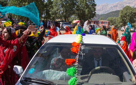 شیر دنگ
