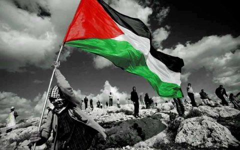 مقاومت فلسطین