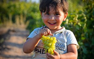 مضرات زیاده‌روی در مصرف انگور