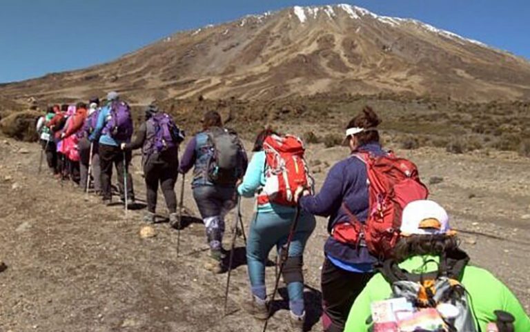 برندگان جشنواره فیلم بنتونویل معرفی شدند