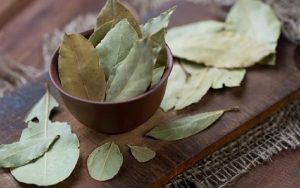 لاغری فوری با برگ بو