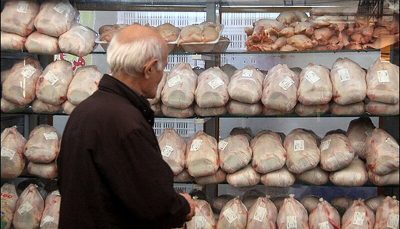 وعده وزیر جهاد کشاورزی برای کنترل نابسامانی‌های بازار مرغ