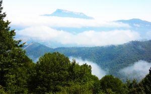 آشنایی-با-بهترین-هتل-های-جنگلی-شمال