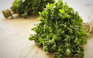 تاثیر آنتی اکسیدانی مرزنجوش بر حافظه