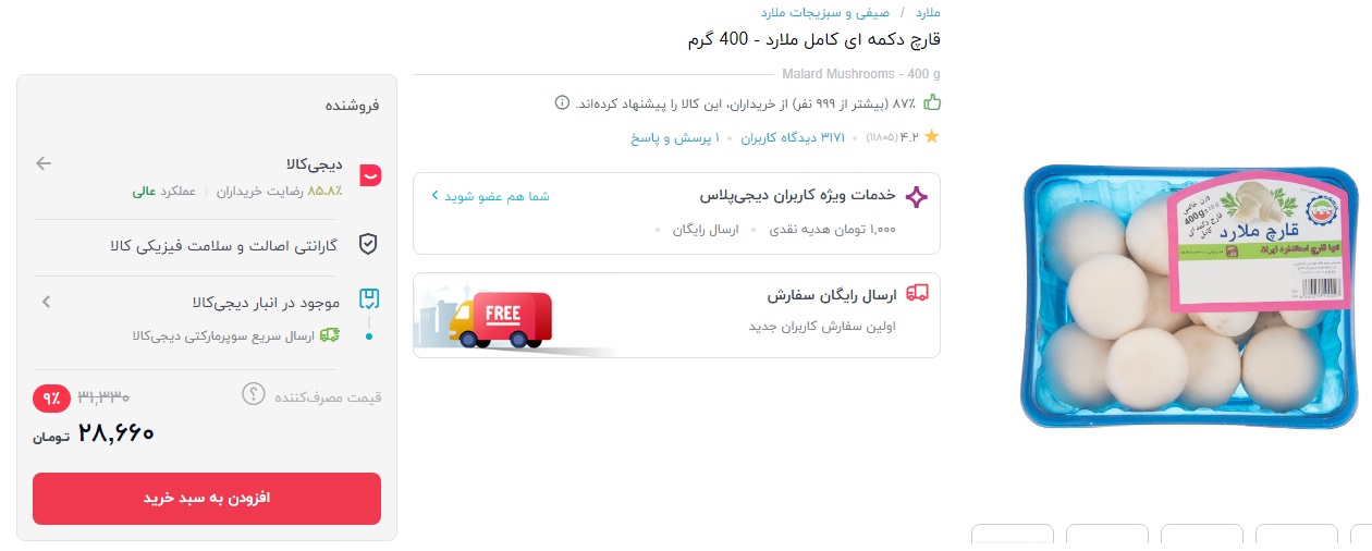 قارچ خوراکی