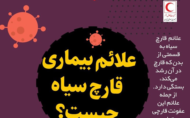 "قارچ سیاه" ارمغان مصرف بی‌رویه "کورتون