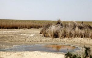 مرگ تدریجی تالاب هورالعظیم